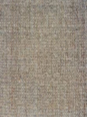color-rug1